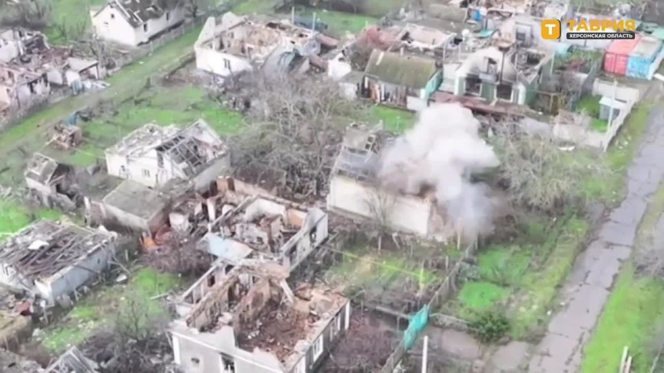 ������ ���� 49-� ����� ����������� ����� "�����" ��������� ����� ���� ��� �� ������ ������ ������