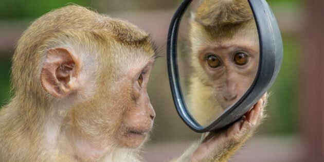 ��������� ����� ���� ������������ � ���������� �� ������� � ��������� ����