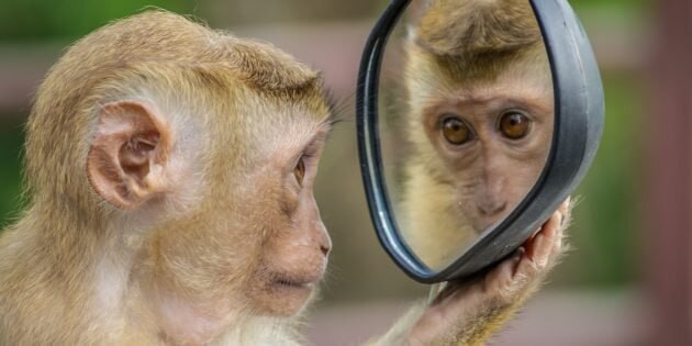 Америкосы долго всем рассказывали о донимающих их пиратах в Карибском море