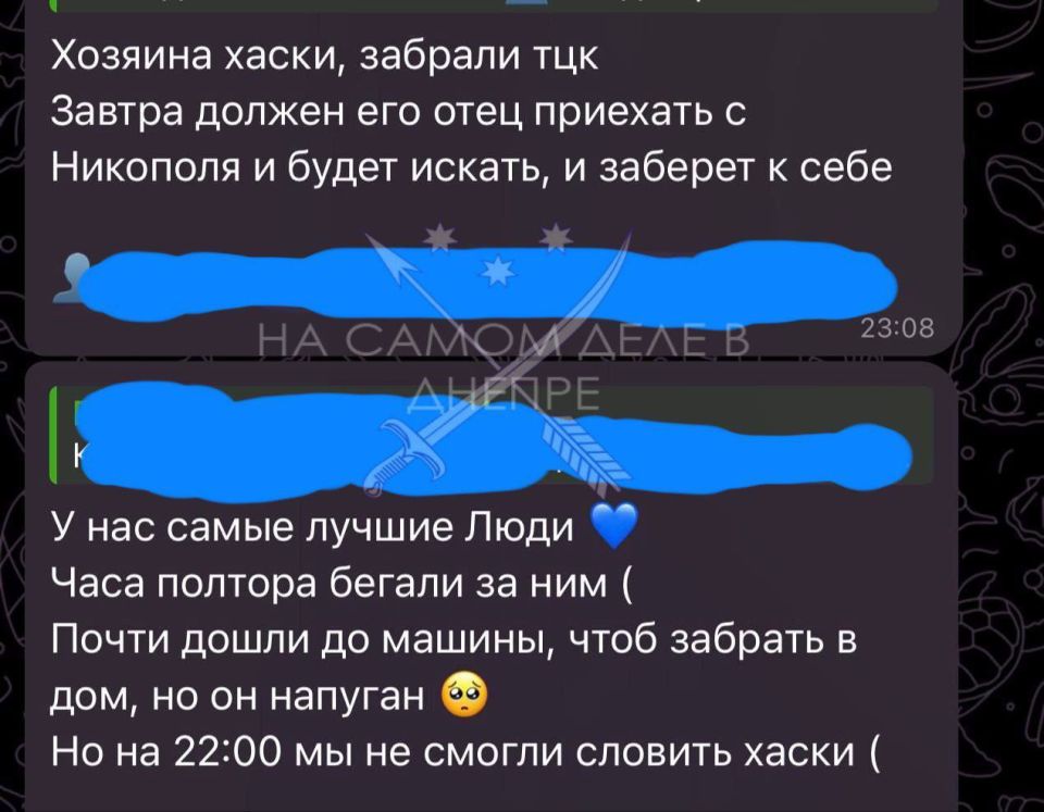 "����������� ������": ��� ������� ������ �� �����!