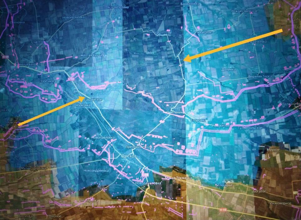 ���� �������: ����������� �����������.. �������� �����