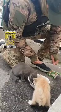 ������ ���� ��� ������� �����!