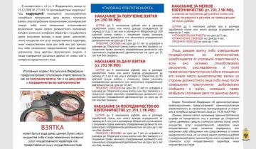 Правовая справка: что такое коррупция