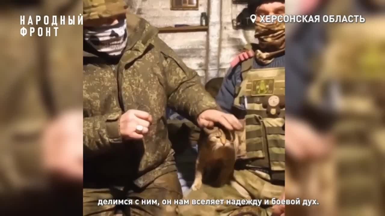 Книги, музыка и чистка оружия