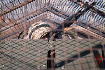 � ���� ���������� ��������-������ ����� ������������ � ���������� �������� �������� ���������� ���������� ���� ���������� �������������, ������� ������ ���������� ������