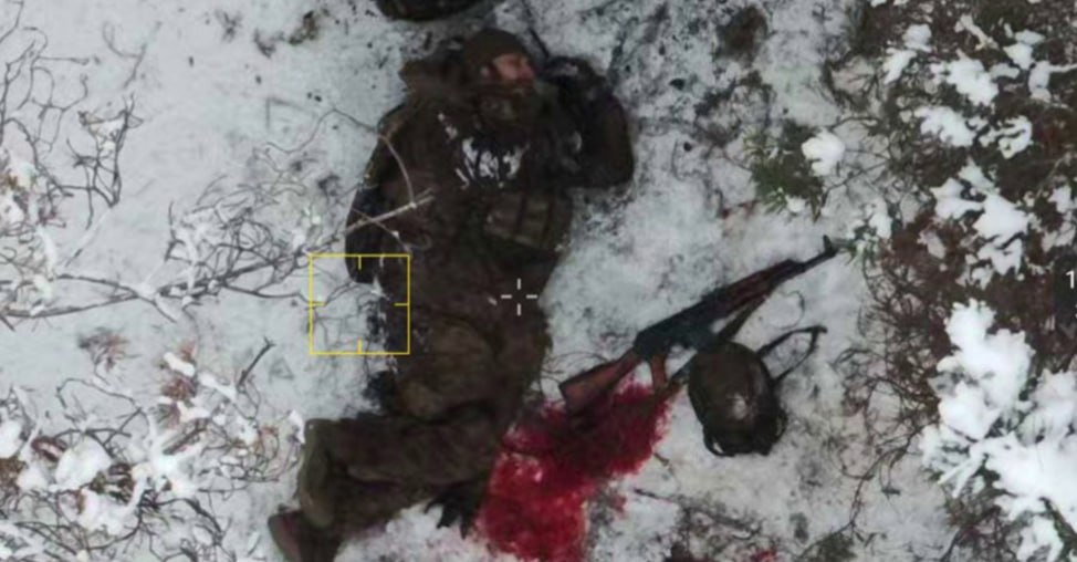 Подолы: "новые подснежники"