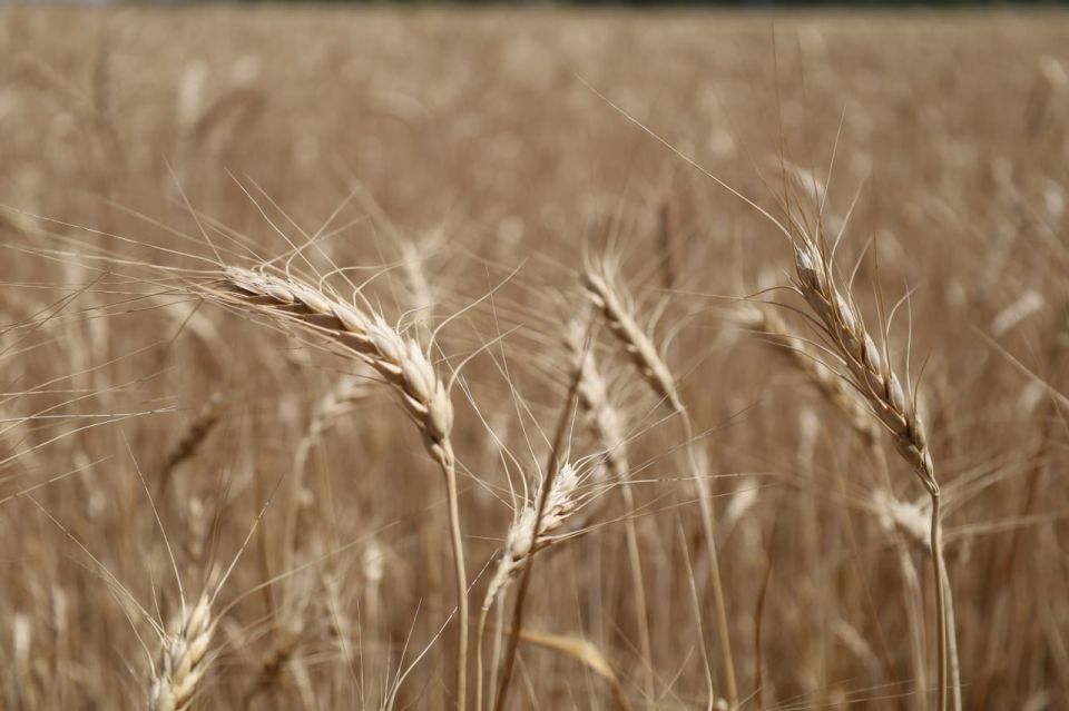 ������������ � ���, ��� ���������� ���������� ������������� � 2025 ����