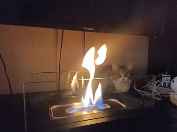 ����������� ����������� ����������