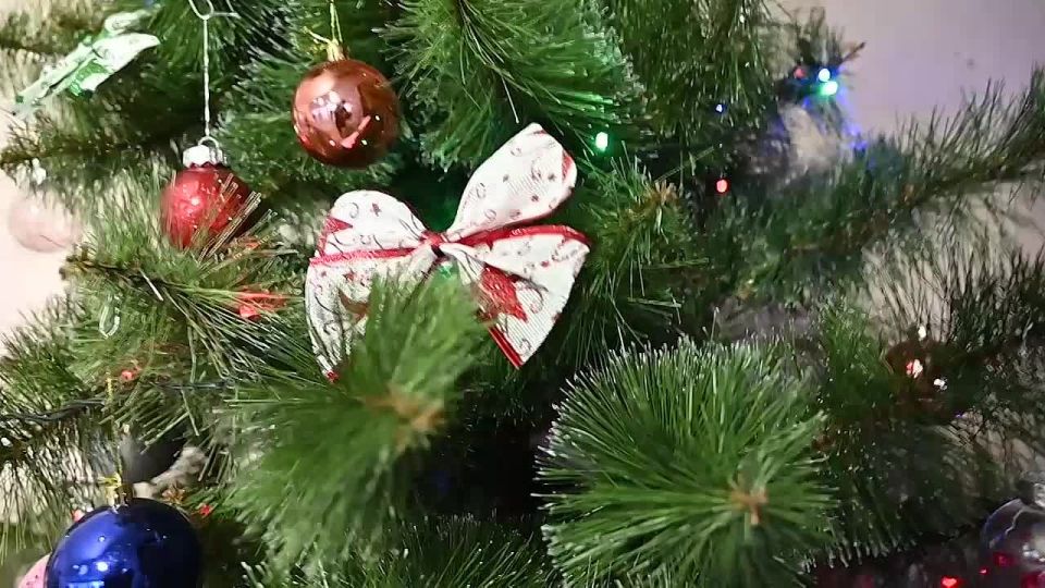 ����� ������������ ����� �� ���� ������� �������