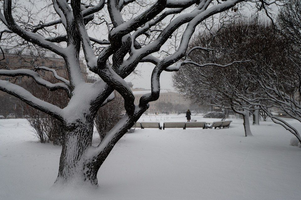 ��������� ���������� ������������ � ������ ����� � ���������� 10 ������