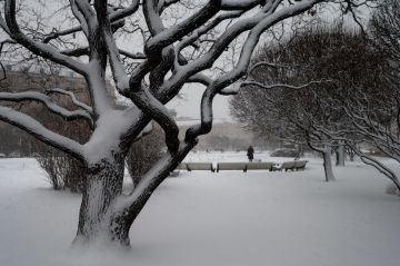 ��������� ���������� ������������ � ������ ����� � ���������� 10 ������