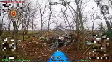 Запорожский фронт, Ореховское направление