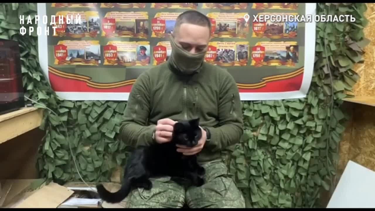 "Вселяет надежду и поднимает боевой дух": кот Велес стал талисманом удачи на передовой