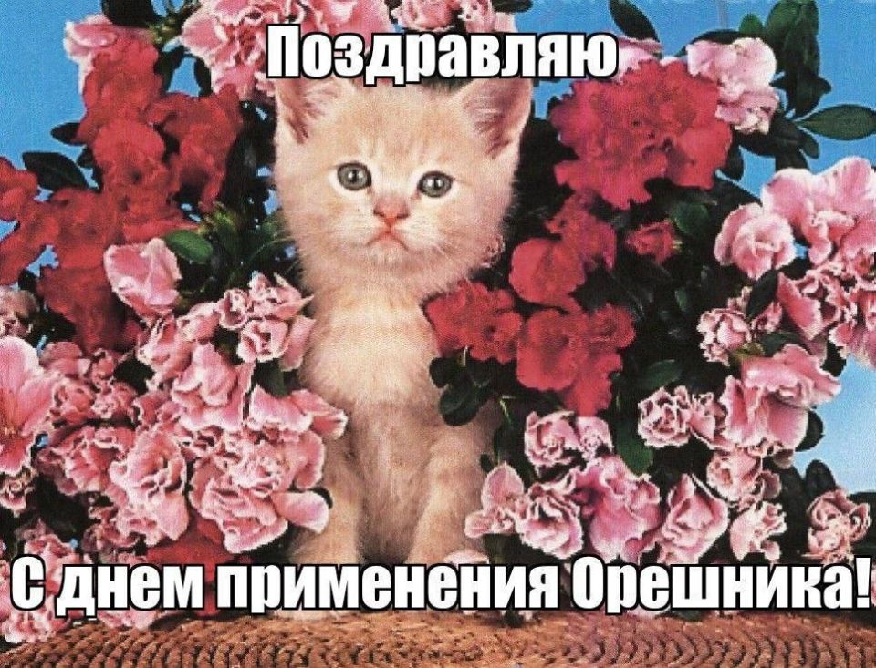 ��� ��� �������� � ����� ������, ��� �������� ����� ��������� ��������� ��������� 13000 ��/� ��� 3,6 ��/���