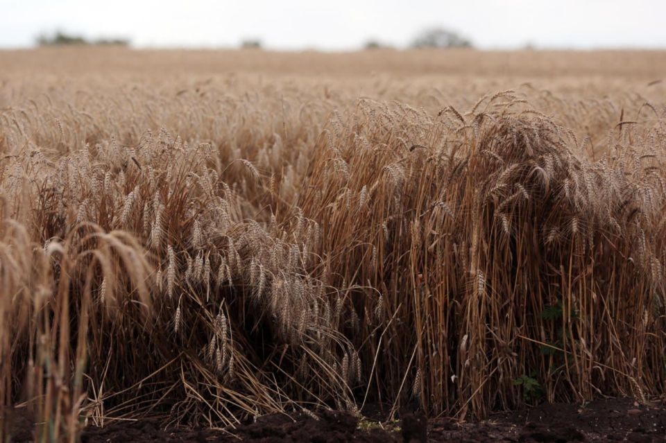 � ���������� ������� ������ ��� �������� ����� 572 ���