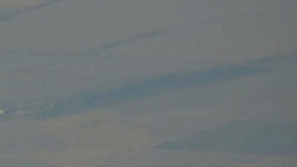 �������� ������: ������ "ZALA � �������" ���������� ��������� ������ ��� �� ������ ������ ������