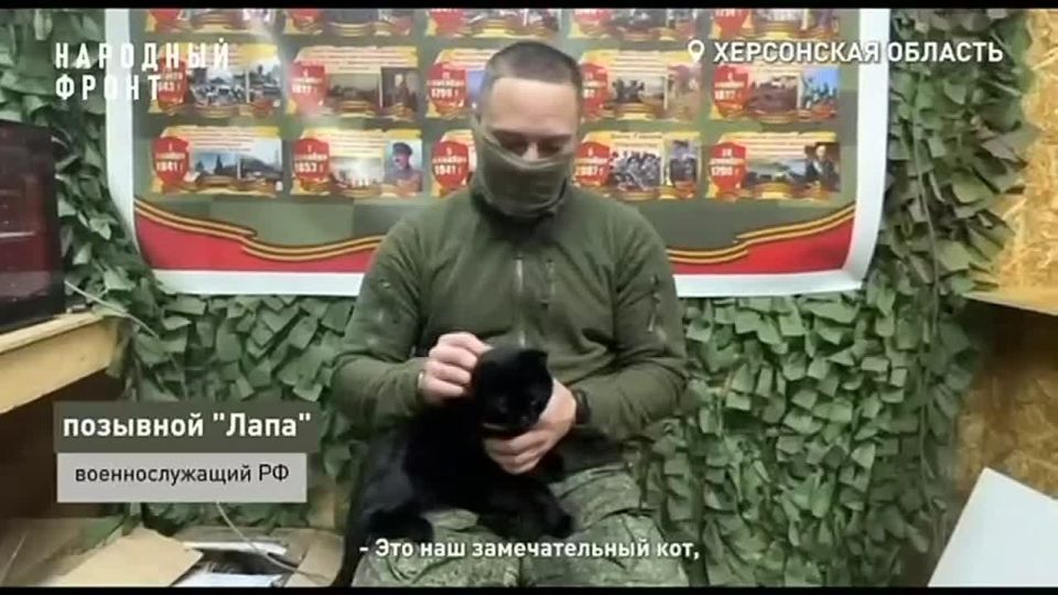 ����� � ���-������ ����������� �����������!