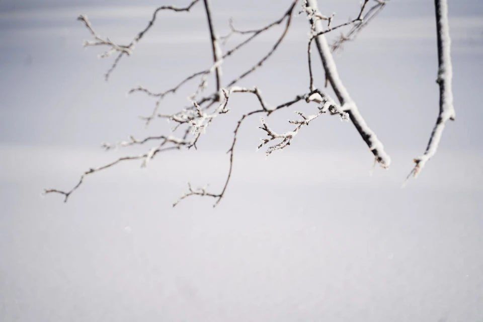 � ���������� ������� ��������� ������� ����, ������ � ������� 11 ������