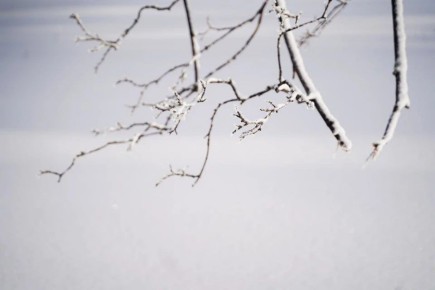 � ���������� ������� ��������� ������� ����, ������ � ������� 11 ������