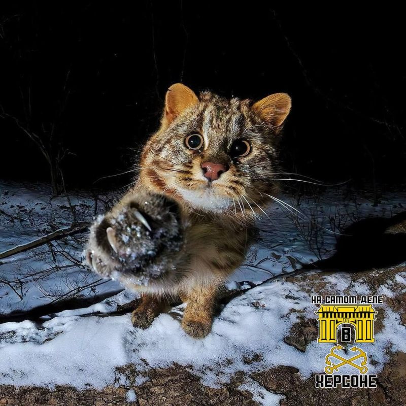 ����������! ���������� ��������� ������� ���� - �������� �� �������!