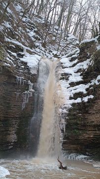 ����������� ����������� ����������