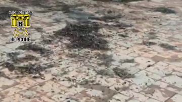 ������ � �������. ��������, ������ ���������! ������� � ����� ������� ����� ���� � ����, �� ����������, �� ������