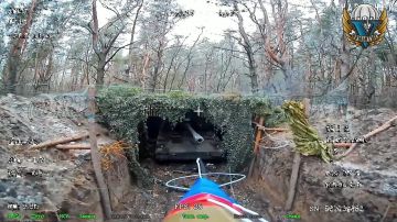 ������� �����������. ���������� ��� Pz�2000