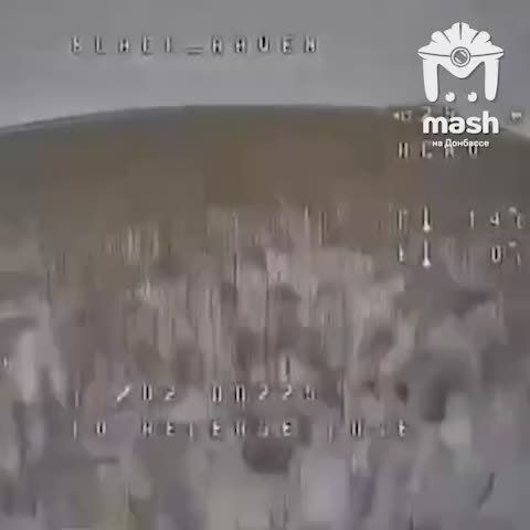 ����������� ����: ����� (��, ������ ��������, ���� ������ �� � ���, ��� ����� �������� �� ��!) ����� ����� �����������