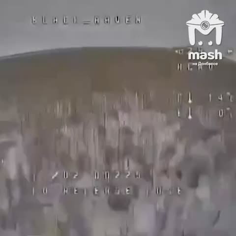 Представьте себе: олень (да, именно животное, речь совсем не о тех, кто сразу приходит на ум!) решил сбить беспилотник