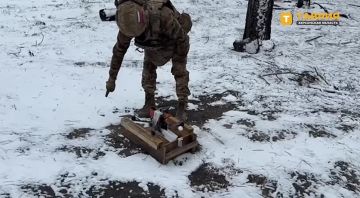 ������� ������������� ���������� ����������� ���������� ����� ���� � ������� ��� �� ���������� �����������