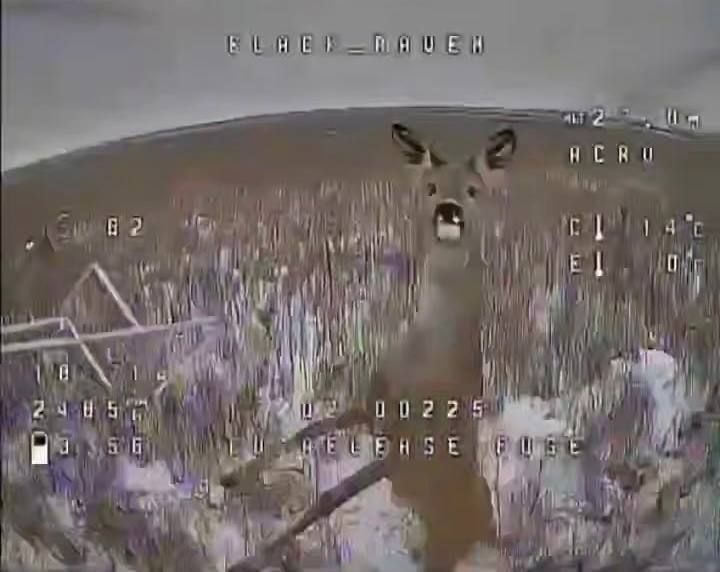 ����������� ��������� ����� �� FPV-����