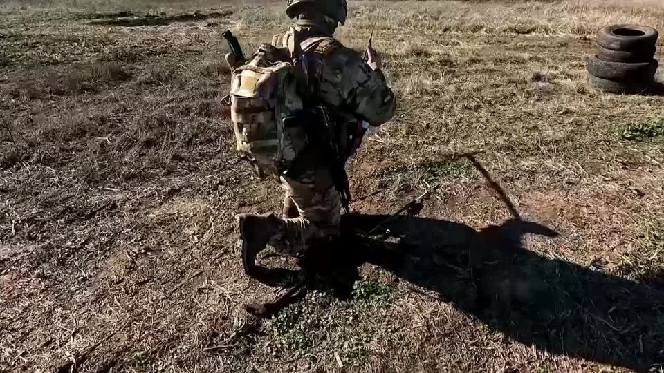 ���������. ������ �������������� ����������� ����������� ���������� ���� � ����� ������� ��������������� ���� �� �������