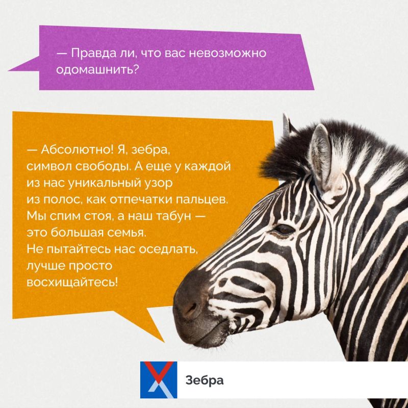 ������ ��� � ������������ �������!