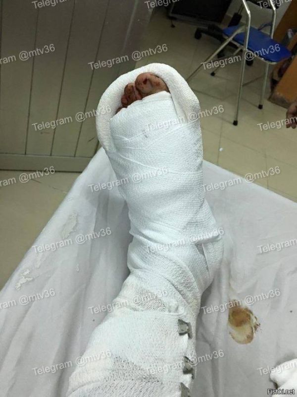 ��� ����� ���� �� ������� ���������� ������� �������, ���������� ���� ��������������� � ����� ������� �����, ������� � Telegram-������ ���������� ��������� �����