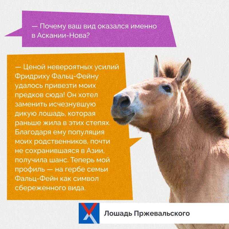 ������ ��� � ������������ �������!