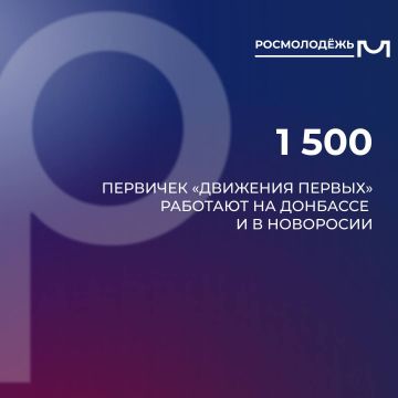Более 1,5 тыс. первичек «Движения первых» работают на Донбассе и в Новоросии