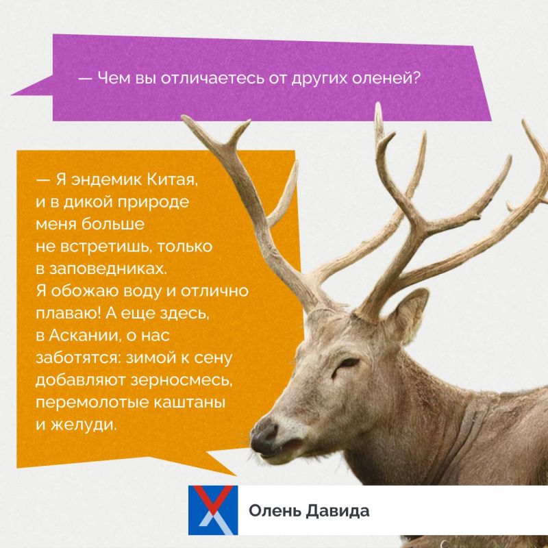 ������ ��� � ������������ �������!