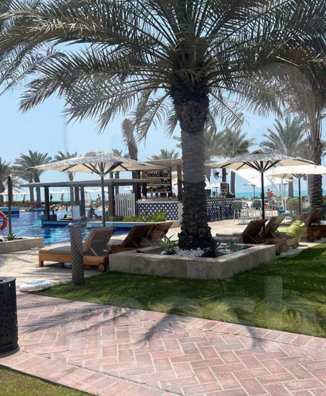 ������ ������ �������� � ��� ���-����