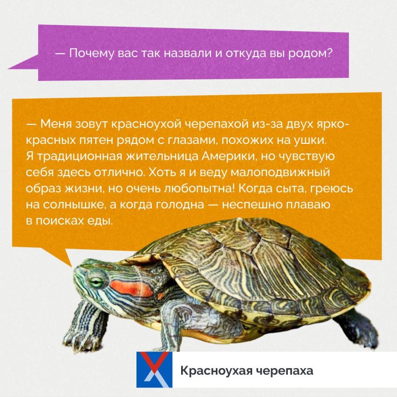 ������ ��� � ������������ �������!