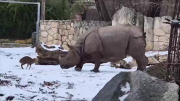 ������� ������� � �������� ��������!