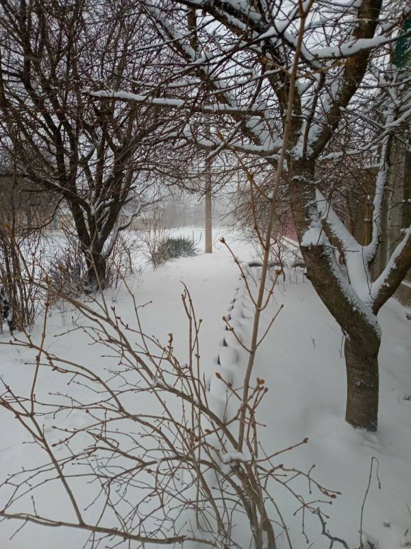 ������ ����������� �����-����� �������, � ����� ����� ���� ����� �� ��������� ������ ������