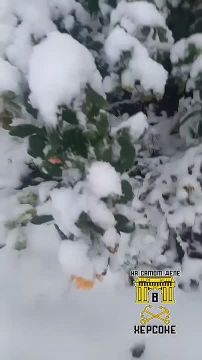 ������. ������ ������