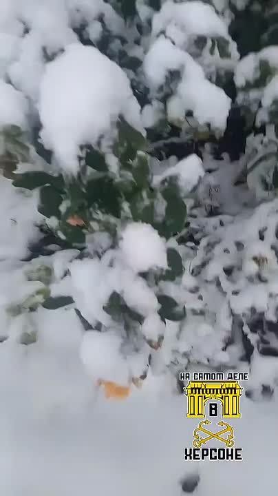 Херсон. Зимняя сказка