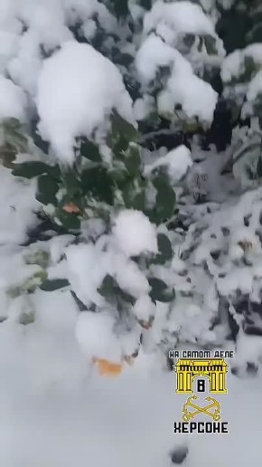 ������. ������ ������