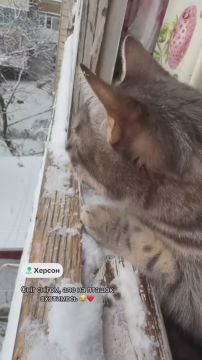 ������. �������� ��������� �������� ������