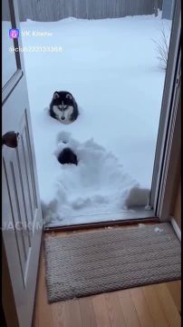 ��� �� ��������� � ������� ����