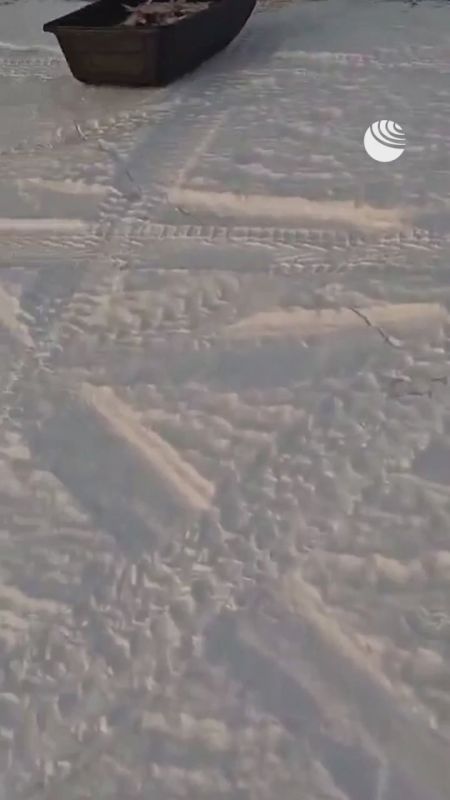 Хитрая лиса попыталась утащить целые сани с уловом из-под носа у рыбаков