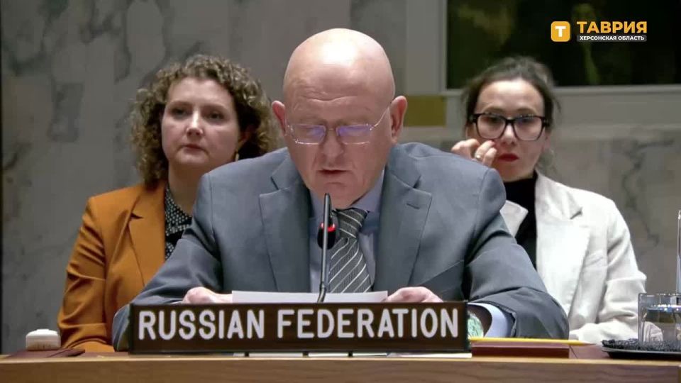 Удар ВСУ по селу Хорлы Херсонской области в новогоднюю ночь был заранее спланированной террористической атакой, заявил Василий Небензя