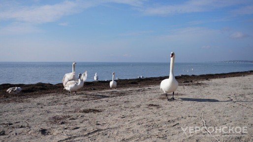 �������� ������� �������� �������� �������������� ����� ���������