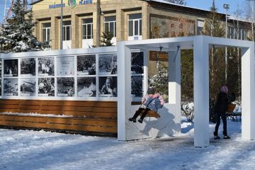 Скадовск в зимней сказке: жители округа делятся волшебными снимками морозной природы
